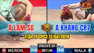 Trận 25 CPC3 12/04/2026 - Điều Vàng Gãy Chân  Vẫn Trả Đòn Xanh Buông Chạy