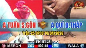 Trận 25 CPC3 14/04/2026 - Điều Đâm Bướm Hư Hình Té Xỉu