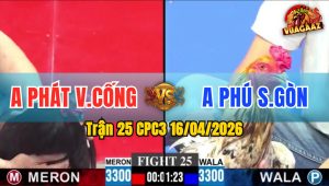 Trận 25 CPC3 16/04/2026 - Đỏ Đá 2 Chân Bưng Bướm Ra Sân