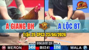 Trận 25 CPC3 23/04/2026 - Gà Bướm Lao Vào Đá Như Tên Bắn