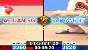 Trận 25 CPC3 31/03/2026 - Đỏ Đá Xanh Hư Hình Trong 1 Nốt Nhạc