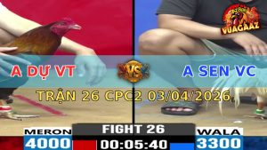 Trận 26 CPC2 03/04/2026 - Uá Chấp Ngông Và Cái Kết 1 Đá Hạ Màng