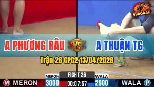 Trận 26 CPC2 13/04/2026 - Bướm Quá Tốc Độ 1 Tay Nước Úa Lìa Chân