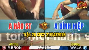 Trận 26 CPC2 21/04/2026 - Điều Xanh Giao Nạp Quá Hay Bướm Hư Hình