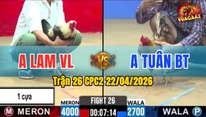Trận 26 CPC2 22/04/2026 - Gà Anh Lam Chấp 1 Cây Vẫn Thắng Như Thường