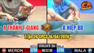 Trận 26 CPC3 16/04/2026 - Bướm Đâm Điều Bông Buông Chạy