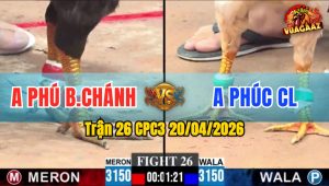 Trận 26 CPC3 20/04/2026 - Đỏ Canh Chặn Đâm Xanh Nằm Gục Chỉ Tay Nước Đầu