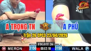 Trận 26 CPC3 23/04/2026 - Gà Bướm Anh Phú Đá Đâm Như Sát Thủ