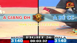 Trận 26 CPC3 31/03/2026 - Đỏ Đá 3 Chân Xanh Khủng Hoảng Chạy Quanh Bồ