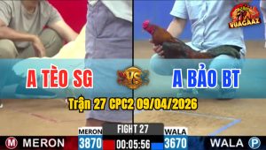 Trận 27 CPC2 09/04/2026 - Úa Đâm Quá Tịch Điều Nằm Biệt Hết Cứu