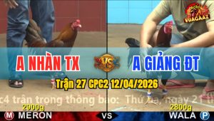 Trận 27 CPC2 12/04/2026 - Xanh Đâm Quá Đâm Đỏ Hư Hình Bỏ Chạy