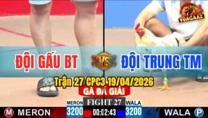 Trận 27 CPC3 19/04/2026 - Bướm Hư Chân Vẫn Đâm Điều Nằm Tại Chỗ