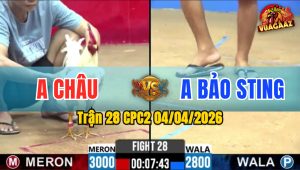 Trận 28 CPC2 04/04/2026 - Úa Chưa Thả Phóng Idol Ăn 6 Và Cái Kết