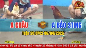 Trận 28 CPC2 06/04/2026 - Úa Chưa Thả Phóng Idol Ăn 6 Và Cái Kết