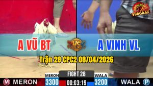 Trận 28 CPC2 08/04/2026 - Đỏ Bóp Chân Quá Xâu Xanh Hư Hình Nằm Biệt