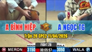 Trận 28 CPC2 11/04/2026 - Điều Đâm Quá Tịch Úa Hư Hình Hết Sữa