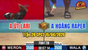 Trận 28 CPC2 15/04/2026 - Xanh Quá Mau Lẹ Đỏ Bay Bồ Sau 2 Cú Đá