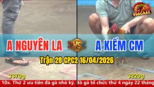 Trận 28 CPC2 16/04/2026 - Xám Đâm Quá Đâm Điều Quay Đầu La Miệng