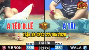 Trận 28 CPC2 22/04/2026 - Anh Tài Phản Tang Thắng Ngược Anh Tèo