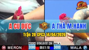 Trận 28 CPC3 14/04/2026 - Xanh Đâm Đỏ Xỉu Sau Vài Chân Quá Đẳng Cấp