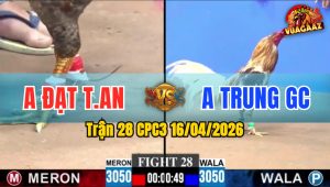 Trận 28 CPC3 16/04/2026 - Ăn Miếng Trả Miếng Cú Hạ khét Sửa Quá Đẳng Cấp