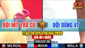 Trận 28 CPC3 19/04/2026 - Xanh Đá Không Tịch Đỏ Lên Chân Xanh Hư Giò Bưng Ra