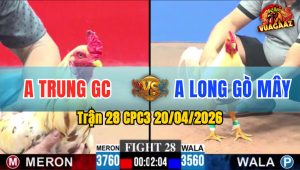 Trận 28 CPC3 20/04/2026 - Đỏ Thấm Tang Bị Xanh Gõ Đầu Từ Trường Về Nhà