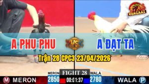 Trận 28 CPC3 23/04/2026 - Gà Bướm Đá Cựa Hiểm Idol Phu Phu Chịu Chết