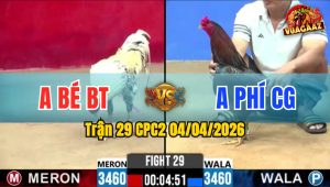 Trận 29 CPC2 04/04/2026 - Xanh Đâm Quá Lẹ Chân Chuối Ói Nằm Tại Lỗ