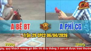 Trận 29 CPC2 06/04/2026 - Xanh Đâm Quá Lẹ Chân Chuối Ói Nằm Tại Lỗ