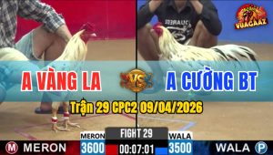 Trận 29 CPC2 09/04/2026 - Xanh Ra Chân Quyết Định Đỏ Lật Xe Nằm Biệt