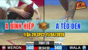 Trận 29 CPC2 11/04/2026 - Điều Cầm Hòa Quá Hay Khi Hư Hình Muốn Chạy