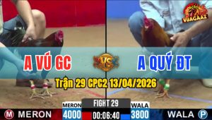 Trận 29 CPC2 13/04/2026 - Đỏ Chấp Ngông Điều Đá Bay Bồ