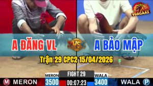 Trận 29 CPC2 15/04/2026 - Đỏ Siết 1 Tay Nước Xanh Quay Đầu Bỏ Chạy