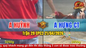 Trận 29 CPC2 21/04/2026 - Úa Nạp Chân Quá Hay Vàng Trả Ngay Chân Úa Nằm Tại Chỗ