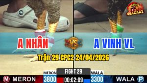 Trận 29 CPC2 24/04/2026 - Anh Vinh VL Chấp Ngông Nhận Cái Kết Đắng