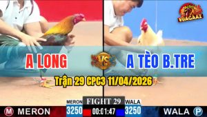 Trận 29 CPC3 11/04/2026 - ÚA RA CHÂN PHÚT CUỐI  ĐIỀU THẤM ĐÒN BỎ CHẠY