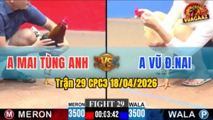 Trận 29 CPC3 18/04/2026 - Úa Đâm Điều Xỉu Sau Vài Chân Giao
