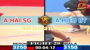 Trận 29 CPC3 31/03/2026 - Đỏ Đá Như Sát Thủ Hạ Gà Xanh Tuyệt Đối