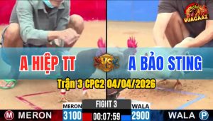 Trận 3 CPC2 04/04/2026 - Đỏ Giao Nạp Quá Hay Xanh Hư Hình Hết Sửa