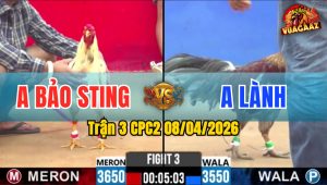 Trận 3 CPC2 08/04/2026 - Idol Quá Hừng 1 Tay Nước Bưng Xám Khỏi Bồ