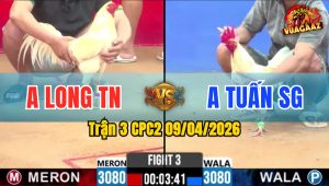 Trận 3 CPC2 09/04/2026 - Bướm Nạp Quá Lẹ Chân 1 Tay Nước Úa Nằm Biệt