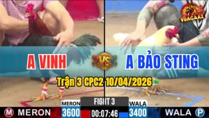 Trận 3 CPC2 10/04/2026 - Úa Đâm Quá Đâm 1 Tay Nước Điều Chết Biệt