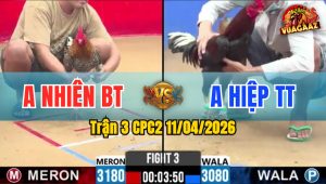 Trận 3 CPC2 11/04/2026 - Cú Phóng A6 Và Cái Kết Xanh Đá Chết Trong Chân