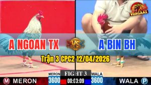 Trận 3 CPC2 12/04/2026