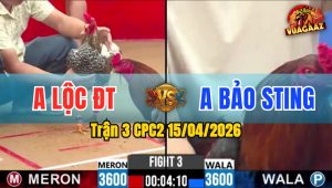 Trận 3 CPC2 15/04/2026 - Cú Đá 2 Chân Điều Bay Bồ