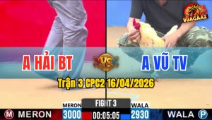 Trận 3 CPC2 16/04/2026 - Điều Đâm Quá Tịch Bướm Quay Đầu La Miệng