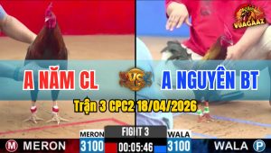 Trận 3 CPC2 18/04/2026 - Đỏ Đâm Như Quá Tịch 1 Tay Nước Xanh Bưng Ra Ngoài