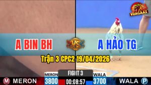 Trận 3 CPC2 19/04/2026 - Đỏ Xấu Xấu Nhưng Đâm Quá Tịch Xanh Hư Hình Hết Cứu