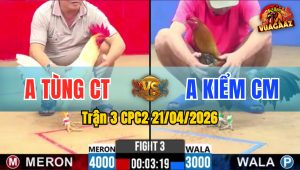 Trận 3 CPC2 21/04/2026 - Úa Được Kèo Thơm Lùa Đối Thủ Nhẹ Hơn 1kg Nhanh Lẹ